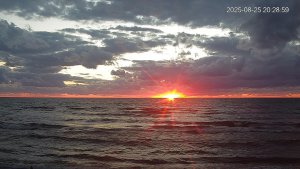 2025-08-25_202859.jpg