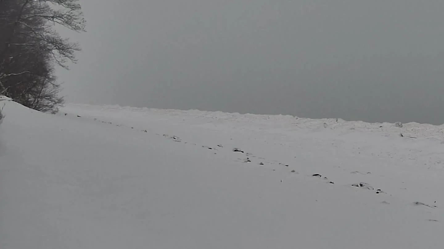 Rolling 4-hour timelapse