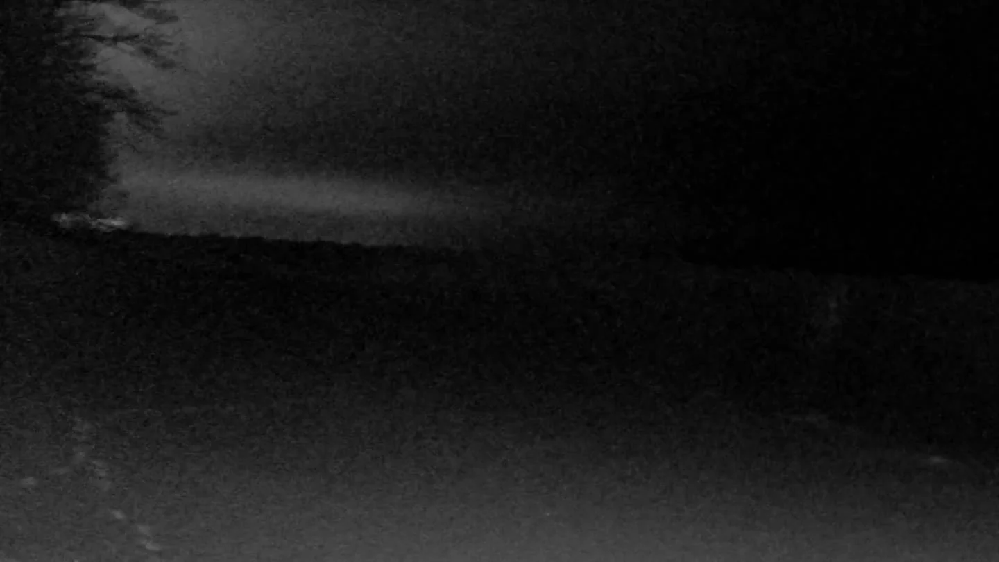 Rolling 4-hour timelapse