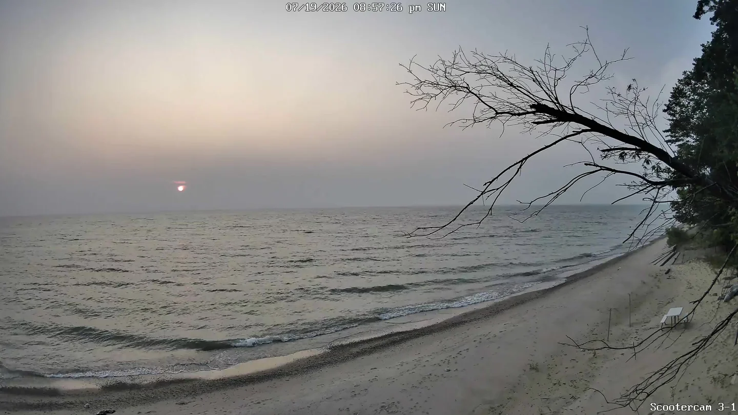 Reolink Track Mix
